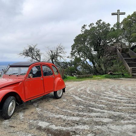 O Cantinho Alojamento Local Villa Luso  Bagian luar foto